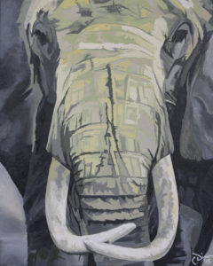 Cameron Dixon - Elephant - 2015