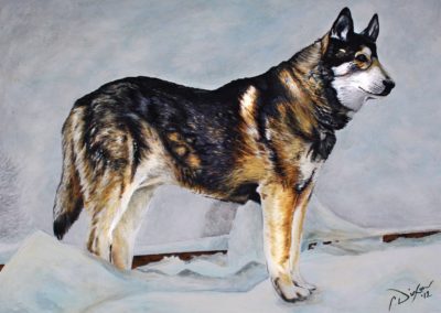 2012-10 - Commissioned Pet Portrait Painting - Rebel II