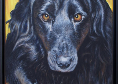 2013-03 - Commissioned Pet Portrait Painting - Molly- complete2