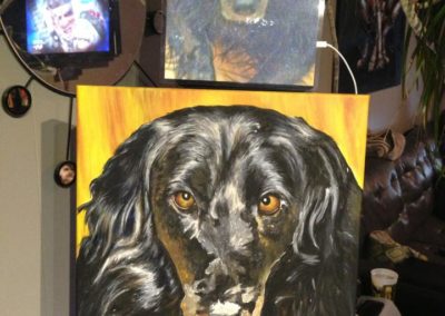 2013-03 - Commissioned Pet Portrait Painting - Molly - in progress