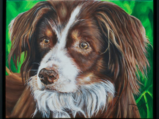 2013-04 – Commissioned Pet Portrait Painting by Cameron Dixon – Cedi