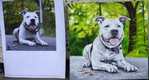 2015-03 - Commissioned Pet Portrait Painting - Cowboy - Comparison