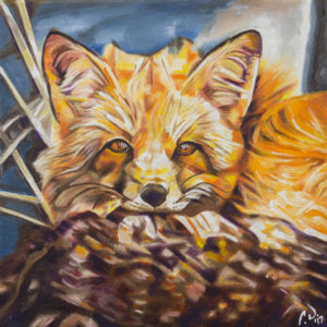 Cozy Fleece Fox by Cameron Dixon - DSC09936-complete-full-1080px