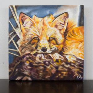 Cozy Fleece Fox by Cameron Dixon - DSC09936-complete-full