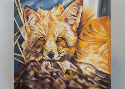Cozy Fleece Fox by Cameron Dixon - DSC09940-complete-left