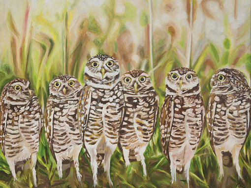 2016-05 – Original Painting by Cameron Dixon – Who? – Burrowing Owls