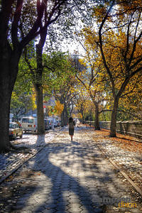 2016-11-Central-Park-Sidewalk-1080px-Cameron-Dixon
