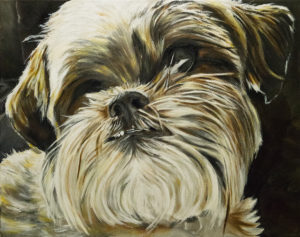 2015-09-Pet Portrait-Dakota-crop-1080px