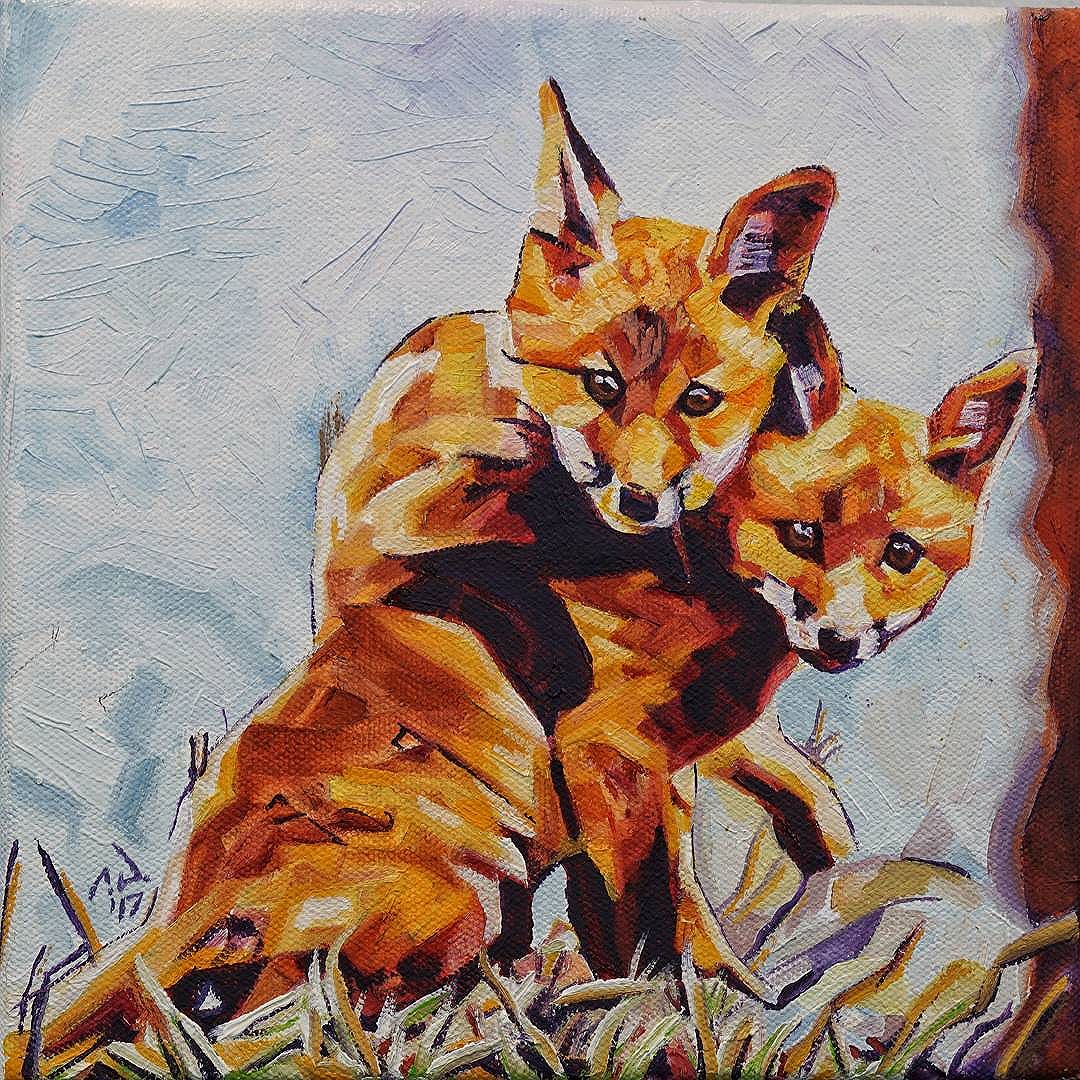 Two Fox Cubs 8in x 8in Oil on canvas $160USD + shipping Prints and products starting from $22USD/$29CDN available tomorrow via: www.camerondixon.com Original available tomorrow via my Etsy shop: www.etsy.com/shop/CameronDixonsArt