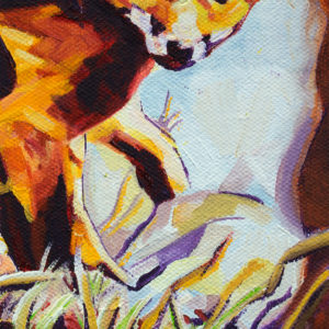 2017-05-cameron-dixon-two-fox-cubs-front-final-crop-d-1080