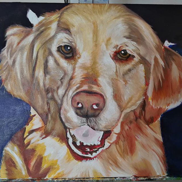 W.I.P. 80% CompleteMaggieGolden Retriever16x20 Oil over Acrylic Commissioned Painting.Refining and blending the oil paint over the base acrylic and working in details. Still need plenty of work on the mouth, nose, and eyes.#ny #nyc #bigapple #newyork #newyorknewyork #newyorkcity #manhatten #eastharlem #ilovenyc #photooftheday #igersofnyc #nylove #newyorkart #newyorklife #newyorkstyle #newyorkartist #canadianartist #newyork_instagram #petportrait #petpainting #goldenretriever #goldenretrieversofinstagram #oilpainting #art #paint #artistforhire #commission #goldenretrieversofig