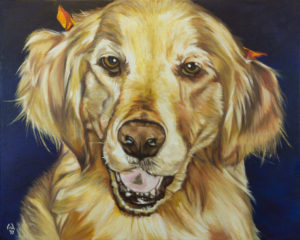 Cameron Dixon - DSC00114-pet-portrait-Mags-front-crop-1080px