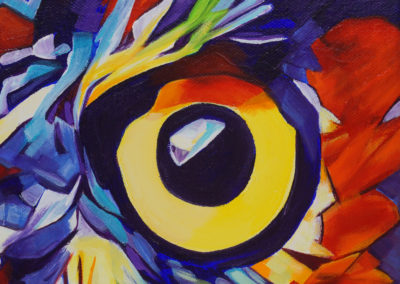 DSC00629-30-31_Pop Art Owl Face-b